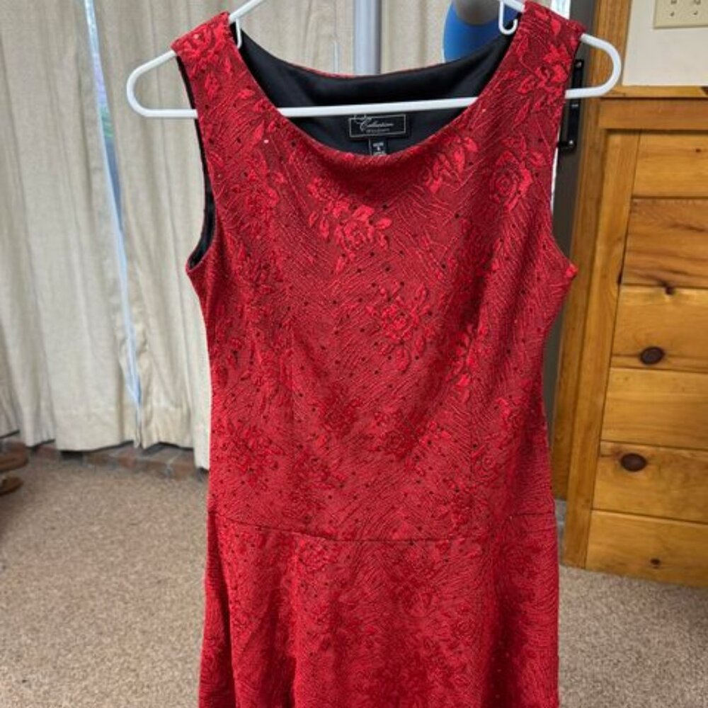 Red Dress Barn brand dress
